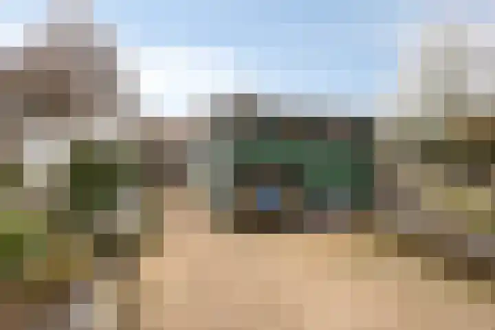 Jeneverbes 16 Oss thumbnail 12