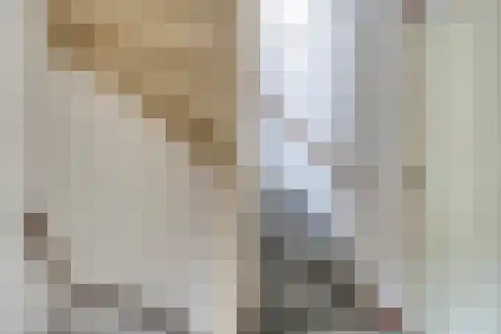 Jeneverbes 16 Oss thumbnail 13