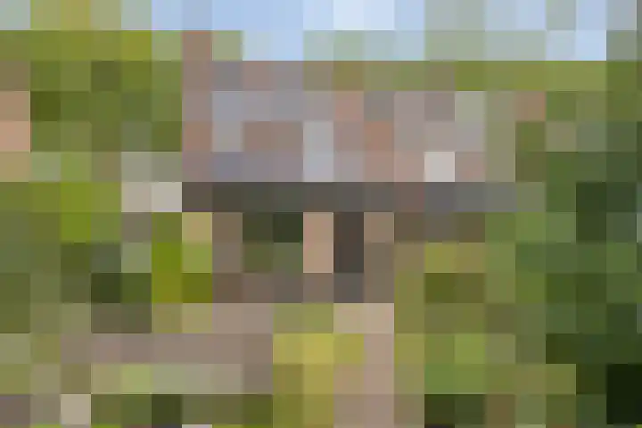 Jeneverbes 16 Oss thumbnail 17