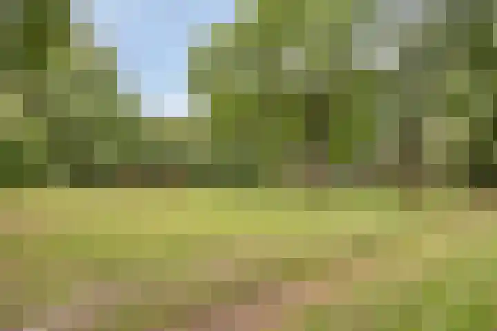 Jeneverbes 16 Oss thumbnail 20