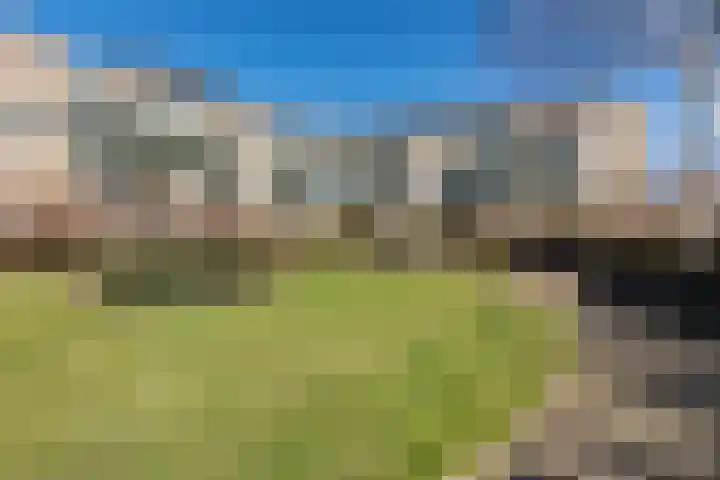 Jeneverbes 29 en Oss