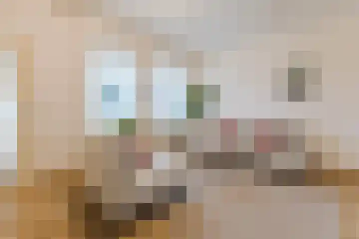 Jeneverbes 30 Oss thumbnail 11