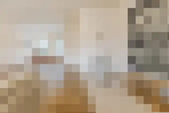 Jeneverbes 30 Oss thumbnail 12