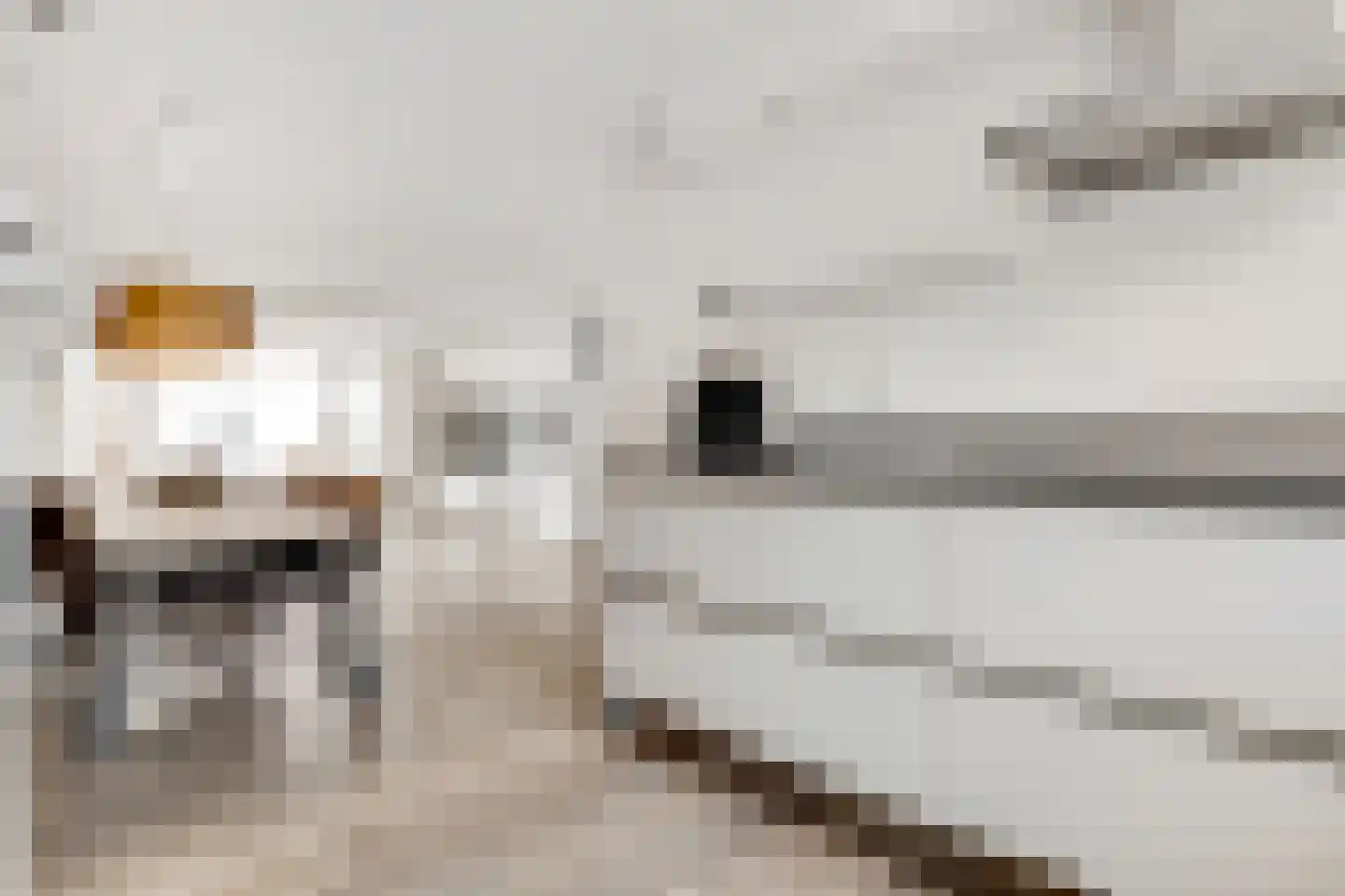 Jeneverbes 30 Oss thumbnail 13