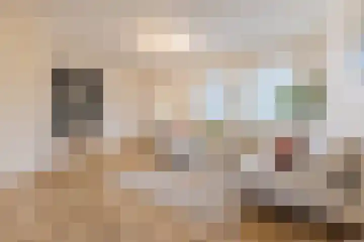 Jeneverbes 30 Oss thumbnail 13
