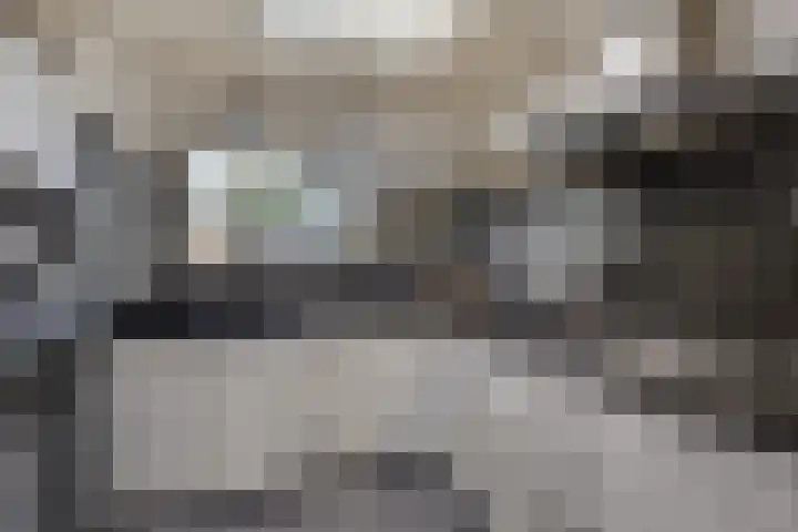 Jeneverbes 30 Oss thumbnail 16