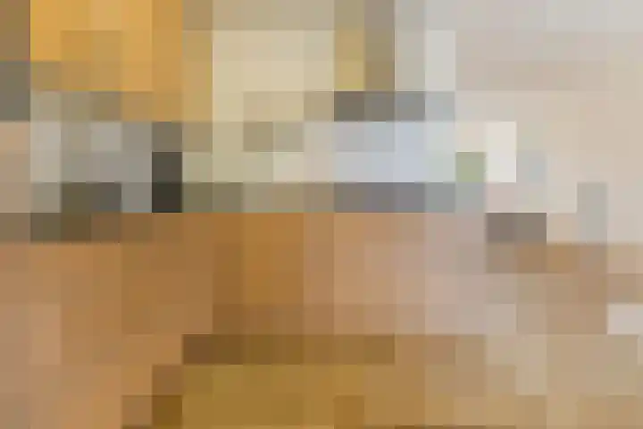 Jeneverbes 30 Oss thumbnail 16