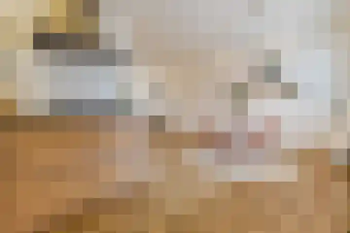 Jeneverbes 30 Oss thumbnail 17