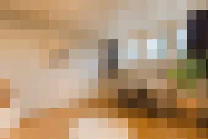 Jeneverbes 30 Oss thumbnail 22