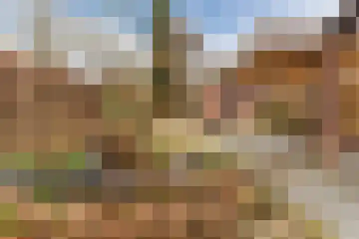 Jeneverbes 30 Oss thumbnail 28