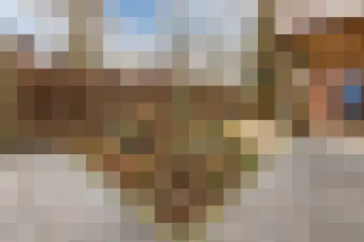 Jeneverbes 30 Oss thumbnail 29