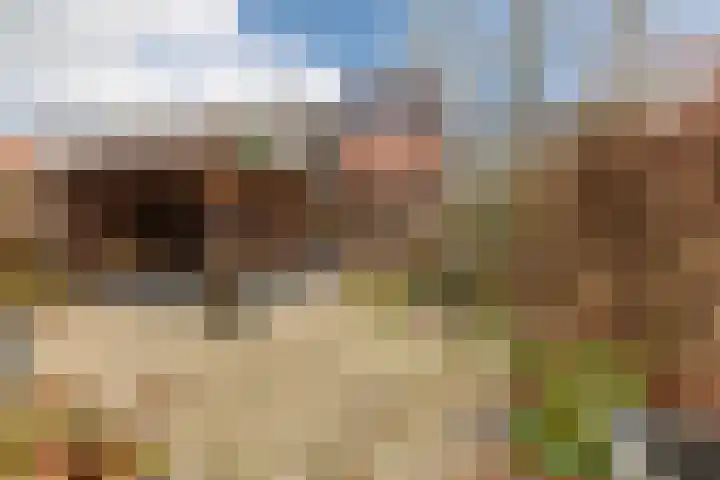 Jeneverbes 30 Oss thumbnail 30