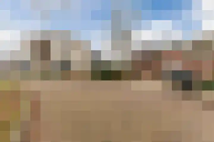 Jeneverbes 30 Oss thumbnail 31