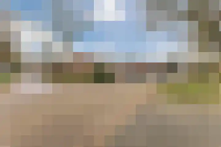 Jeneverbes 30 Oss thumbnail 32