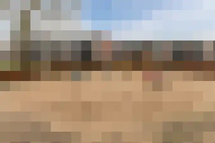 Jeneverbes 30 Oss thumbnail 33