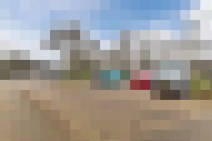 Jeneverbes 30 Oss thumbnail 34