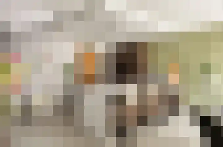 Jeneverbes 30 Oss thumbnail 5