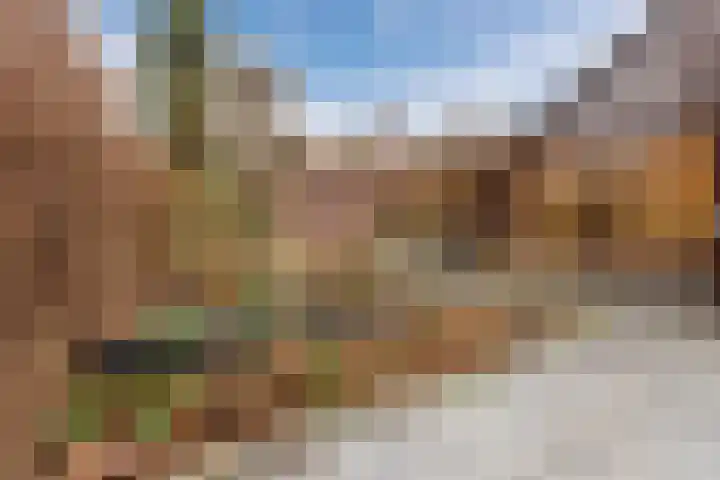Jeneverbes 30 Oss thumbnail 5