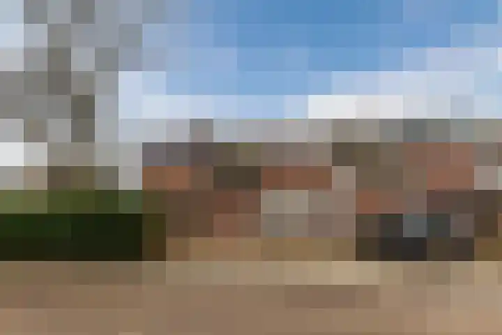 Jeneverbes 30 Oss thumbnail 6