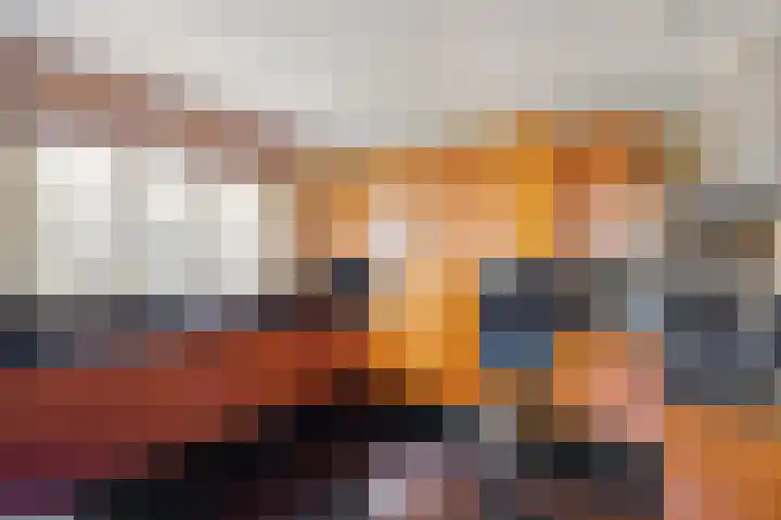 Jeneverbes 49 Oss thumbnail 11