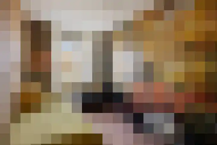 Jeneverbes 49 Oss thumbnail 21
