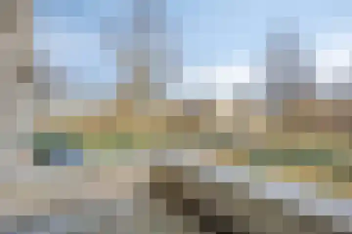Jeneverbes 49 Oss thumbnail 23