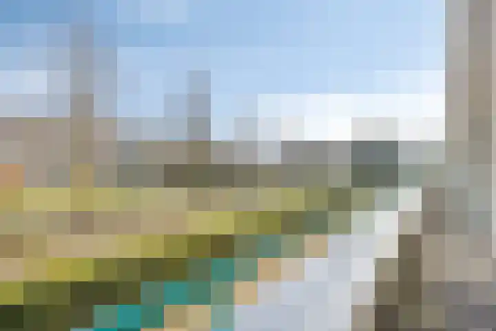 Jeneverbes 49 Oss thumbnail 25