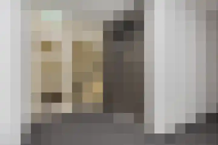 Jeneverbes 49 Oss thumbnail 26