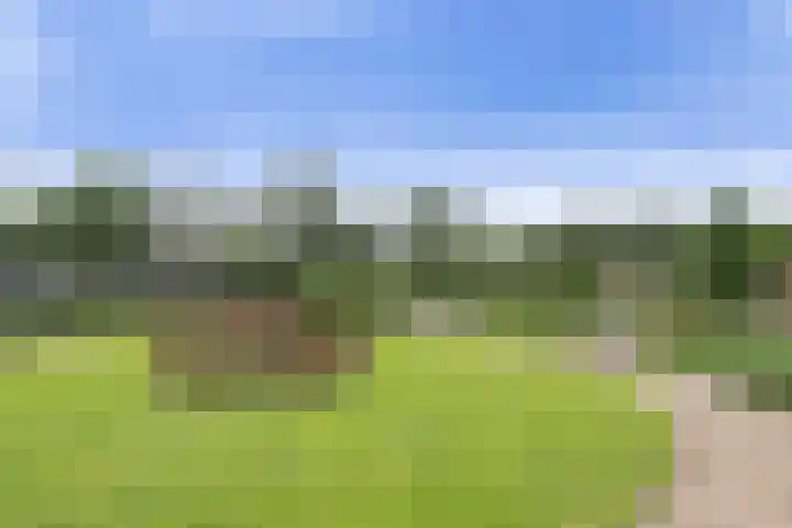 Jeneverbes 49 Oss thumbnail 30