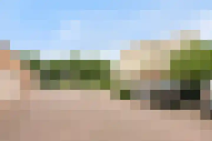 Jeneverbes 49 Oss thumbnail 33