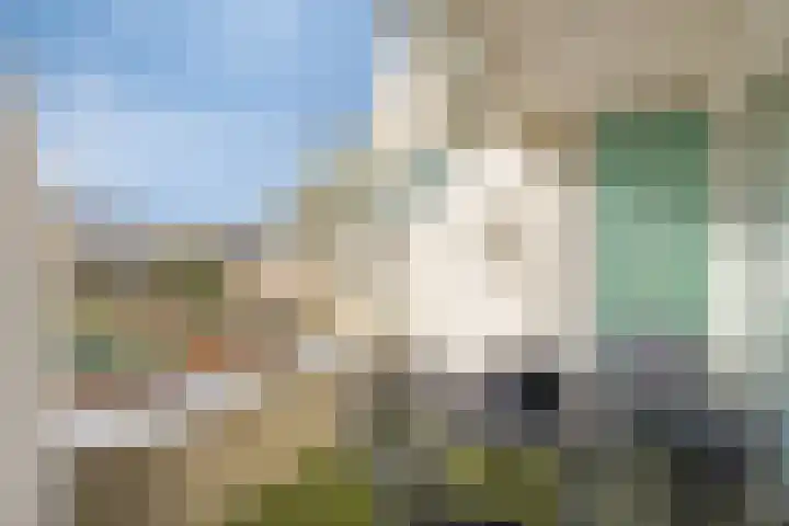 Jeneverbes 49 Oss thumbnail 7