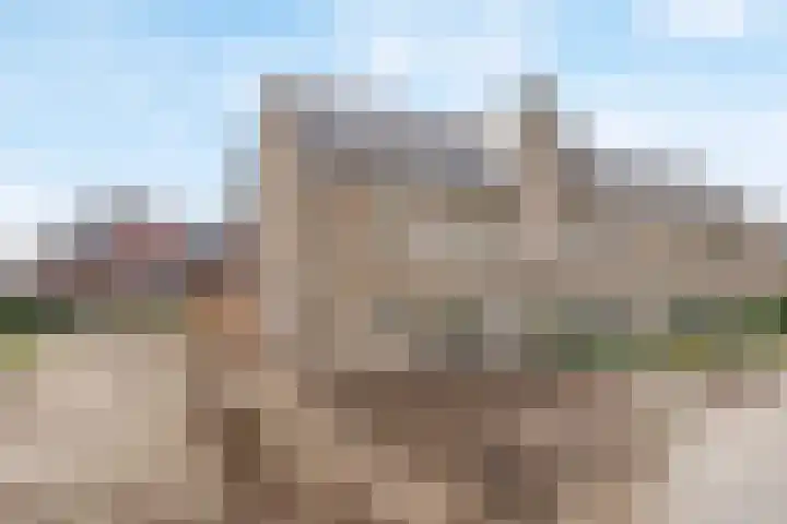 Jeneverbes 5 Borne