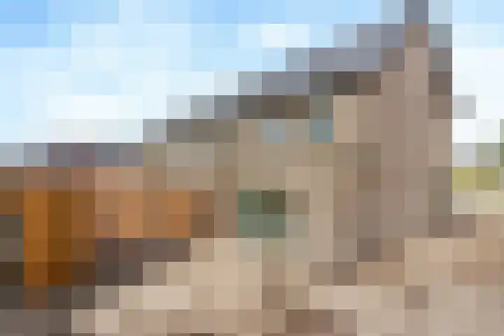 Jeneverbes 5 Borne thumbnail 14