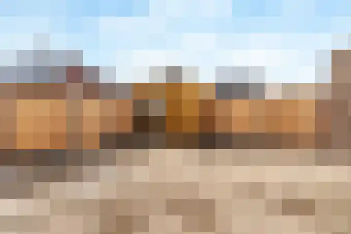Jeneverbes 5 Borne thumbnail 15