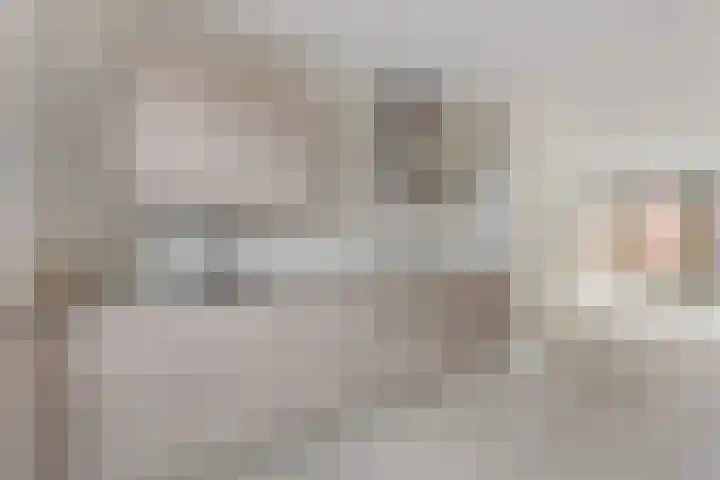 Jeneverbes 5 Borne thumbnail 7
