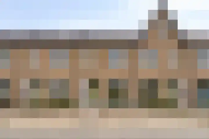 Jeneverbes 8 in Borne