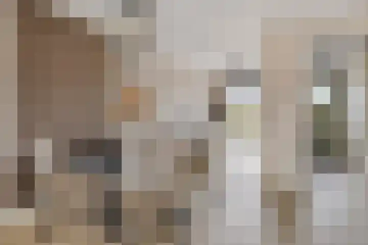 Jeneverbes 8 Borne thumbnail 11