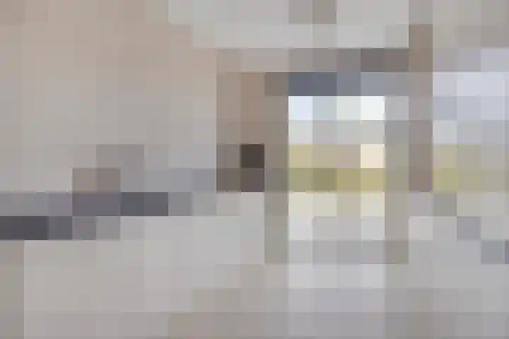 Jeneverbes 8 Borne thumbnail 12