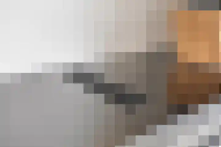 Jeneverbes 8 Borne thumbnail 14