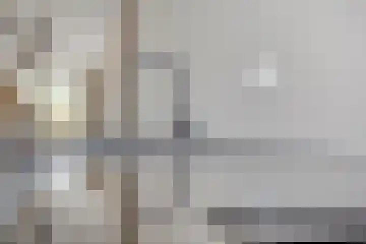 Jeneverbes 8 Borne thumbnail 15