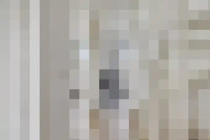 Jeneverbes 8 Borne thumbnail 16