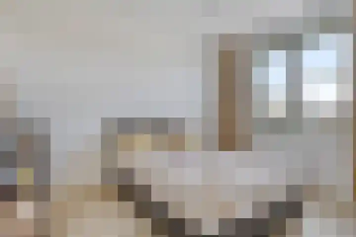 Jeneverbes 8 Borne thumbnail 20