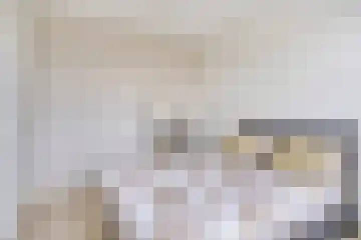 Jeneverbes 8 Borne thumbnail 21