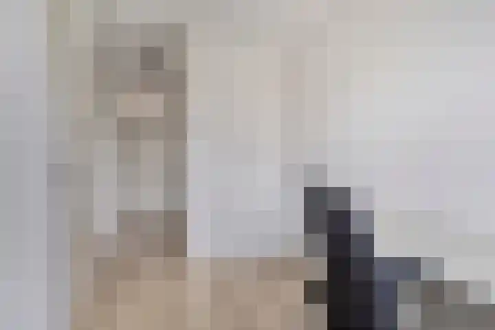 Jeneverbes 8 Borne thumbnail 23