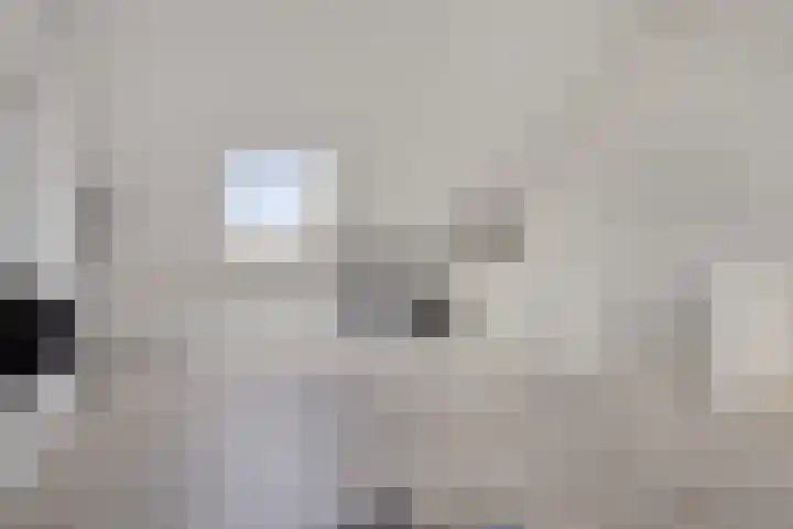 Jeneverbes 8 Borne thumbnail 26