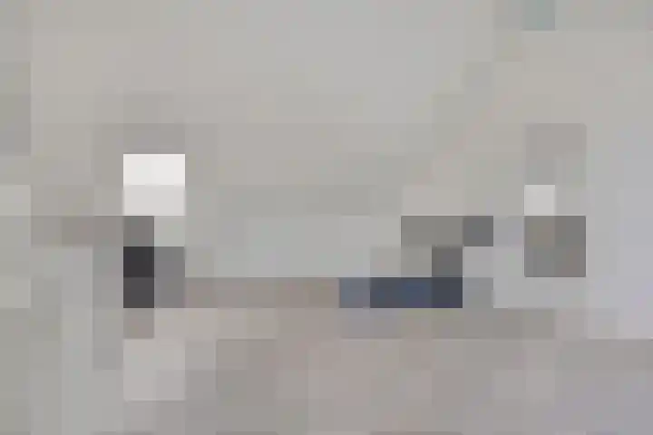Jeneverbes 8 Borne thumbnail 27