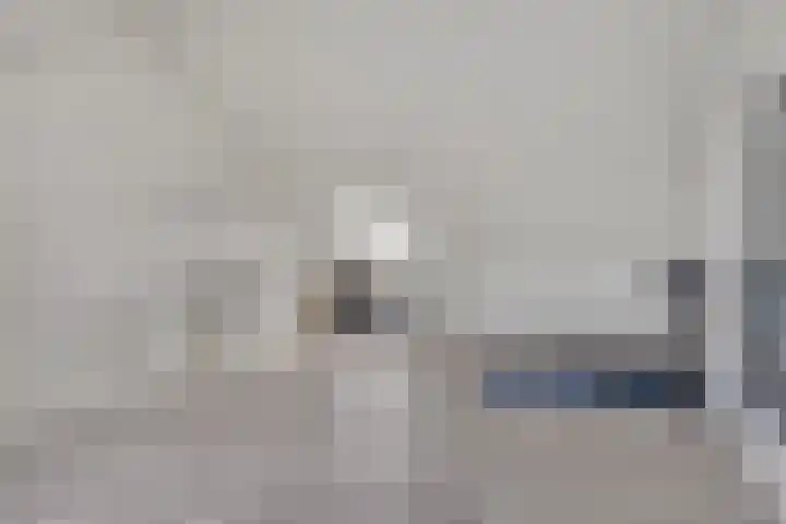 Jeneverbes 8 Borne thumbnail 28