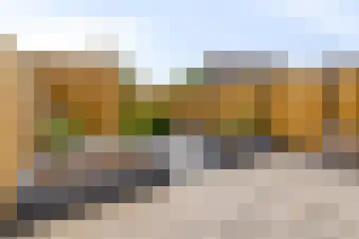 Jeneverbes 8 Borne thumbnail 5
