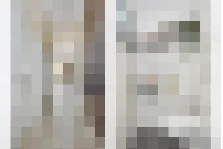Jeneverbes 8 Borne thumbnail 8