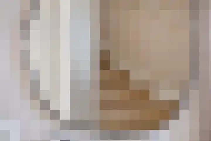 Jeneverbes 8 Borne thumbnail 9